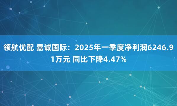 领航优配 嘉诚国际：2025年一季度净利润6246.91万元 同比下降4.47%