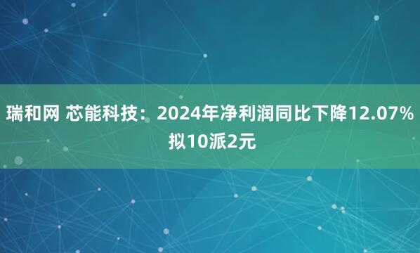 瑞和网 芯能科技：2024年净利润同比下降12.07% 拟10派2元
