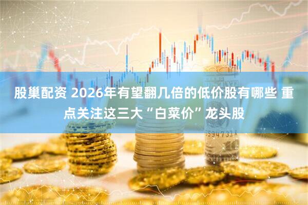 股巢配资 2026年有望翻几倍的低价股有哪些 重点关注这三大“白菜价”龙头股